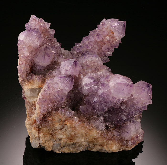 Cactus Amethyst Cluster (Spirit Quartz)