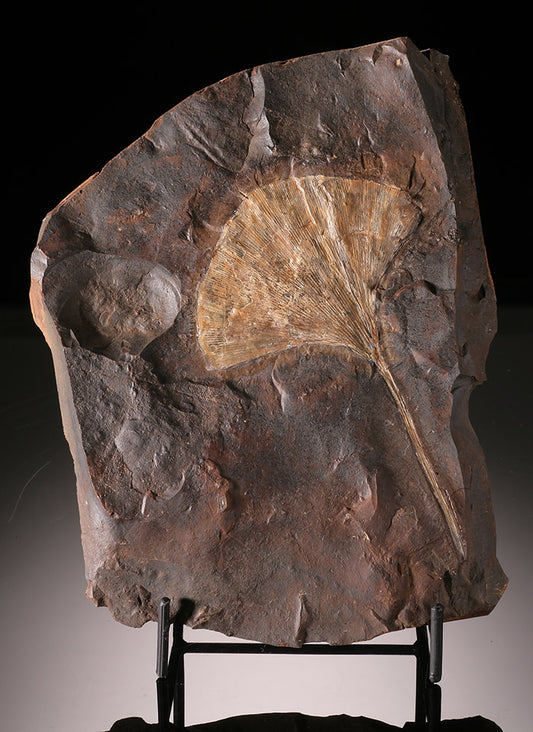 7-1/4" Ginkgo Leaf Plate (with stand)