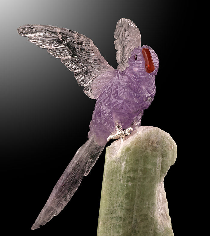 Amethyst Parrot on Tourmaline Base
