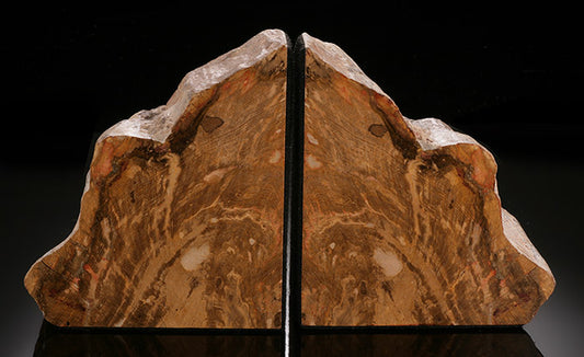 Petrified Wood Bookends (Miles Form., Australia)
