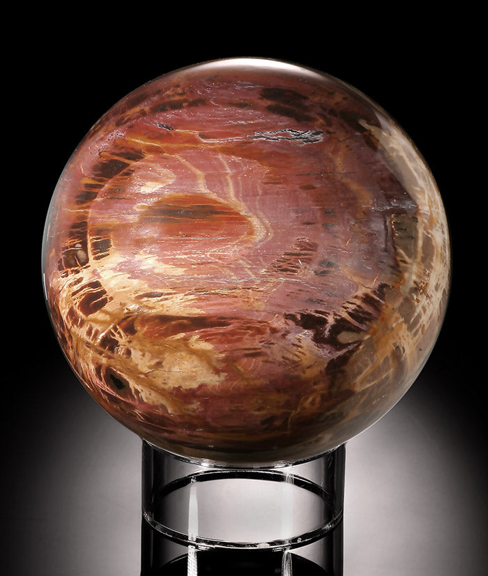 Large Petrified Wood Sphere (with stand)