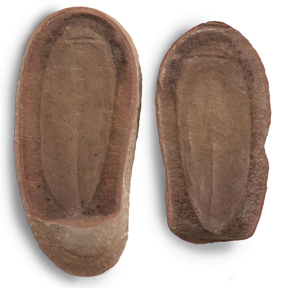 Tullimonstrum gregarium, LARGE Tully Monster