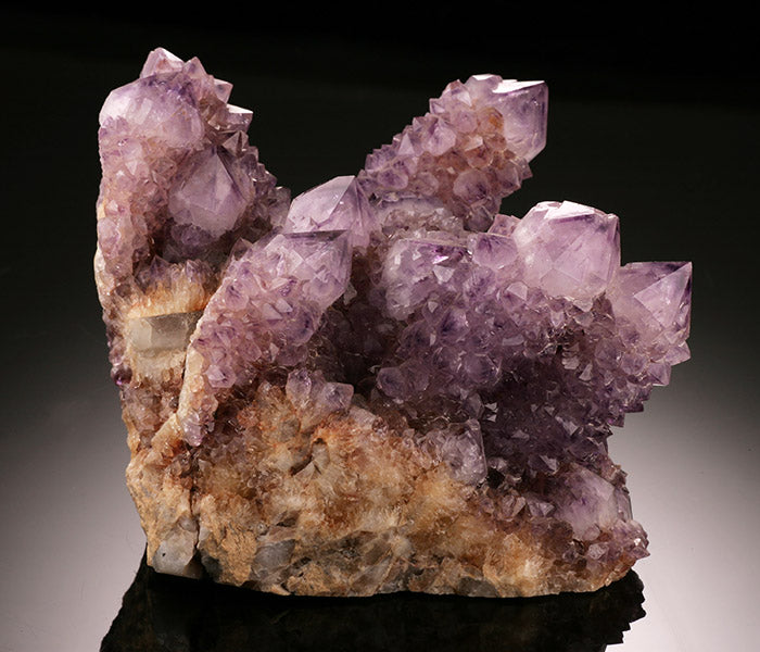 Cactus Amethyst Cluster (Spirit Quartz)