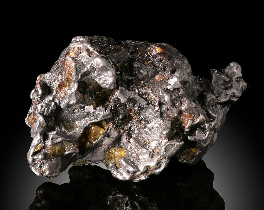 Admire Meteorite (Pallasite)