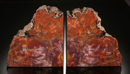 Arizona Petrified Wood Bookends