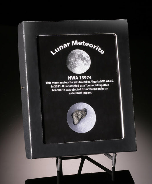 Lunar Meteorite NWA 13974
