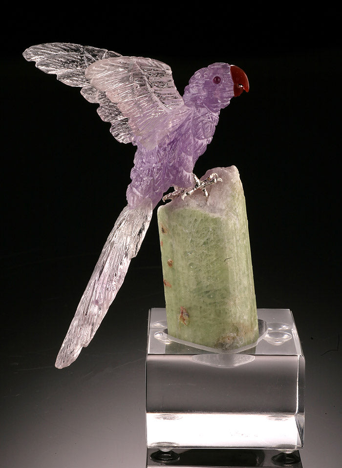 Amethyst Parrot on Tourmaline Base