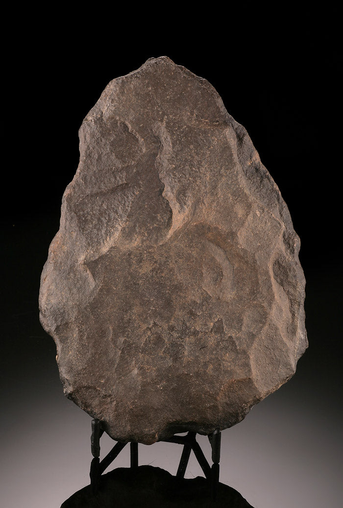 Acheulean Handaxe (Quartzite), with stand