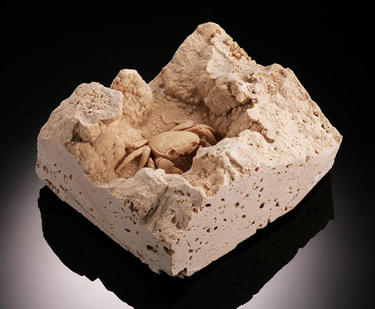 Sweetwater Crab in "Cave House"