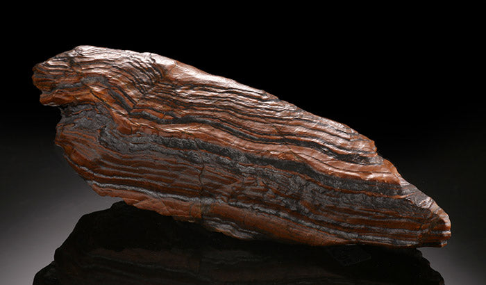 Banded Iron Stromatolite