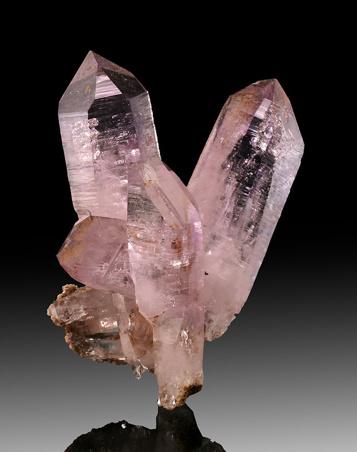 Vera Cruz Amethyst Cluster