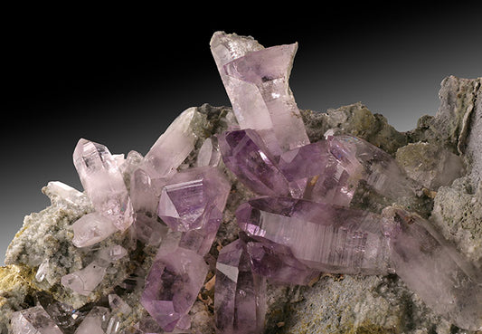 5" Vera Cruz Amethyst Cluster