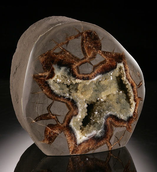 Base-Cut Septarian Geode