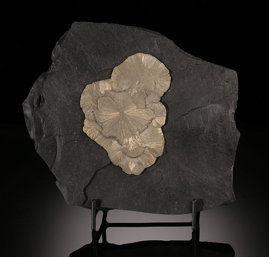 Pyrite Sun in Matrix (with stand)