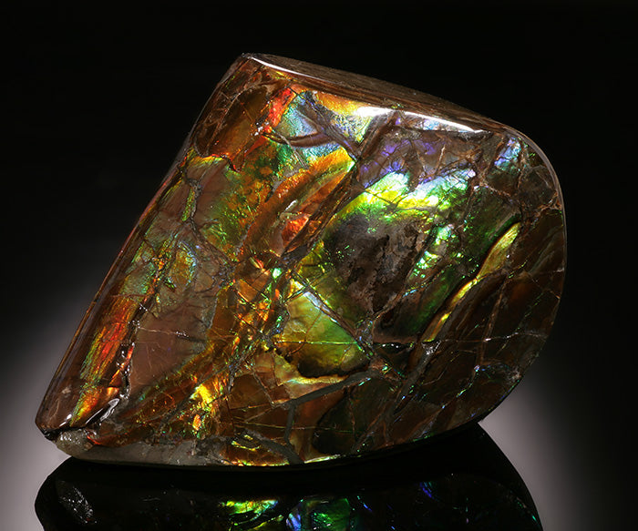 3" Ammolite Fossil, Canada