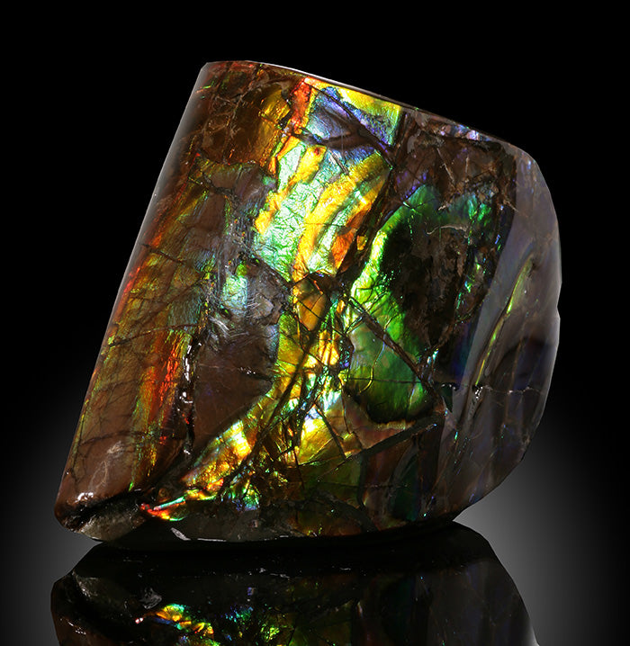 3" Ammolite Fossil, Canada