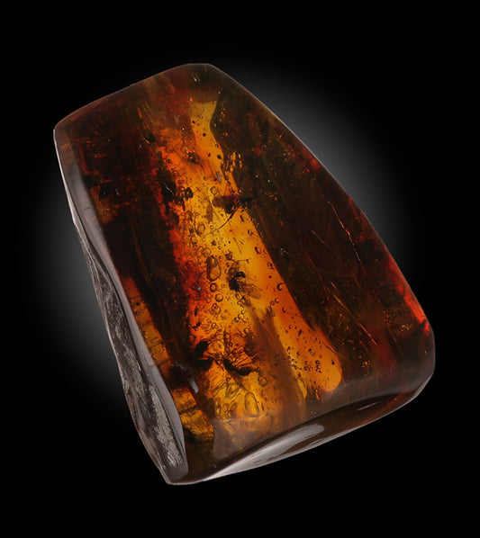 Wasp Swarm in Amber