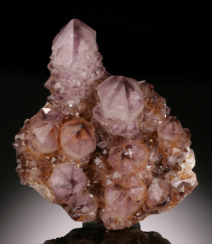 cactus crystals Spirit Quartz