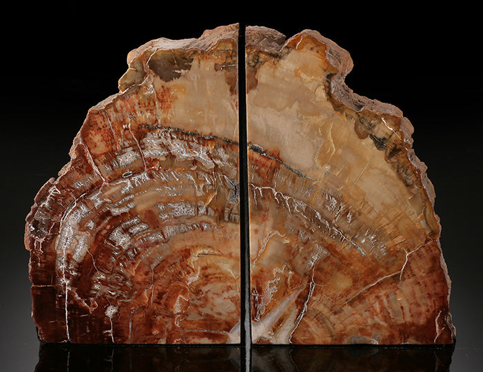 Madagascar Petrified Wood Bookends