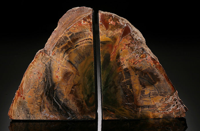 Petrified Wood Bookends, Madagascar