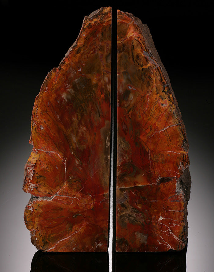 Petrified Wood Bookends, Madagascar