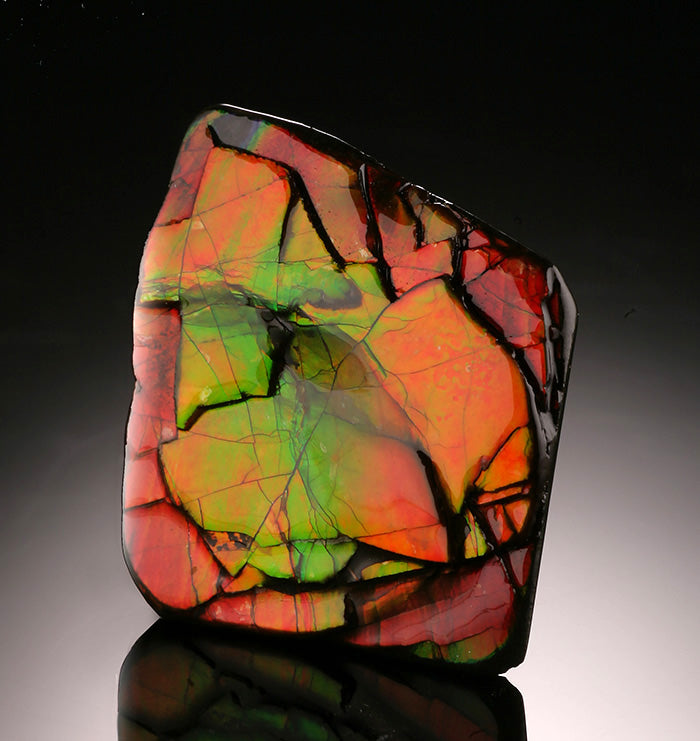 1-1/4" Ammolite Specimen