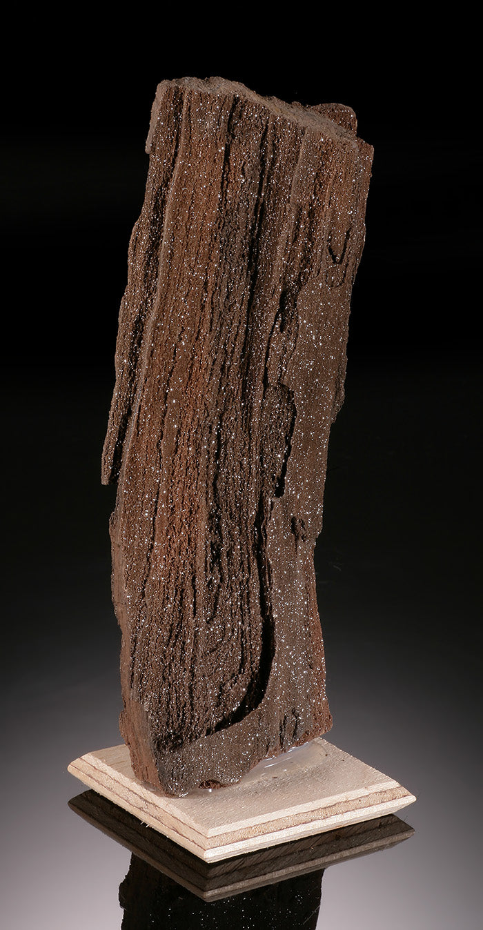 Druzy Quartz on Petrified Wood