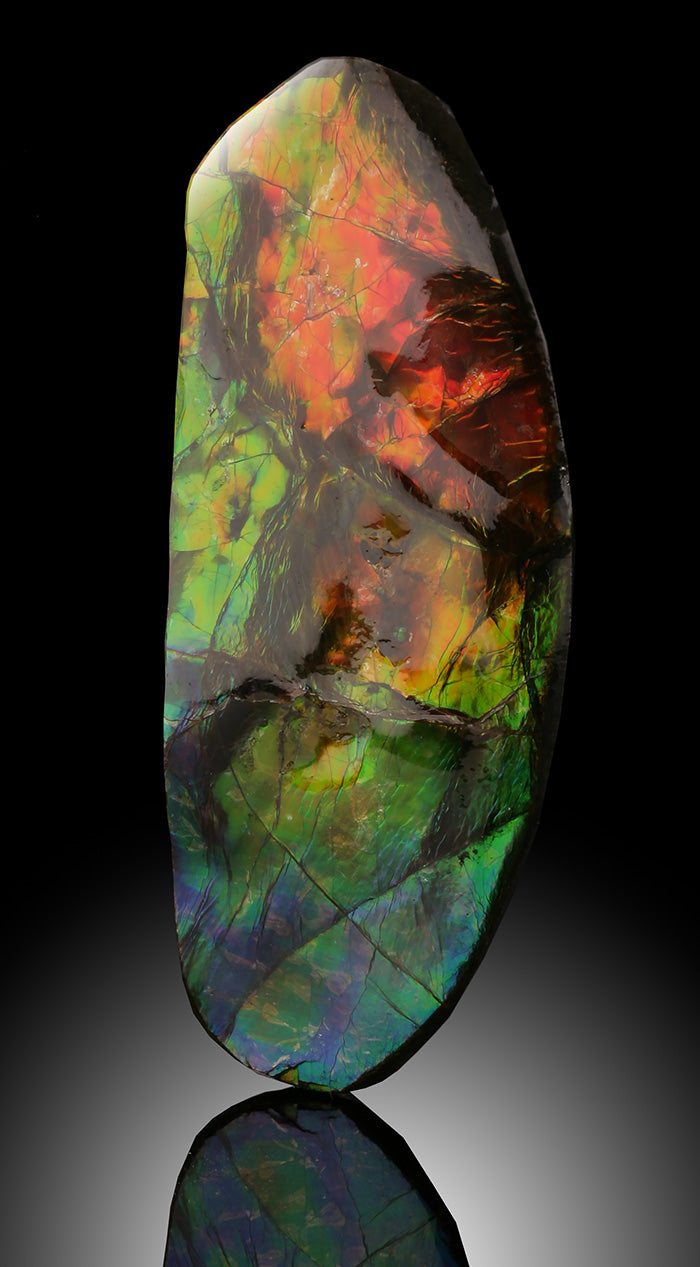 Ammolite