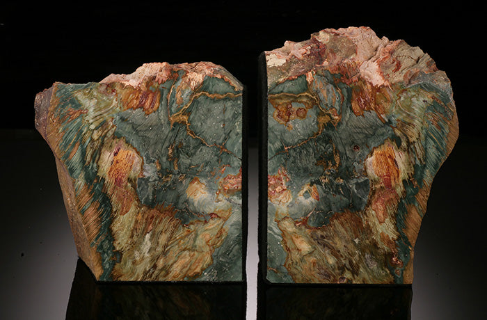 Petrified Swamp Bog Bookends (Gary Green)
