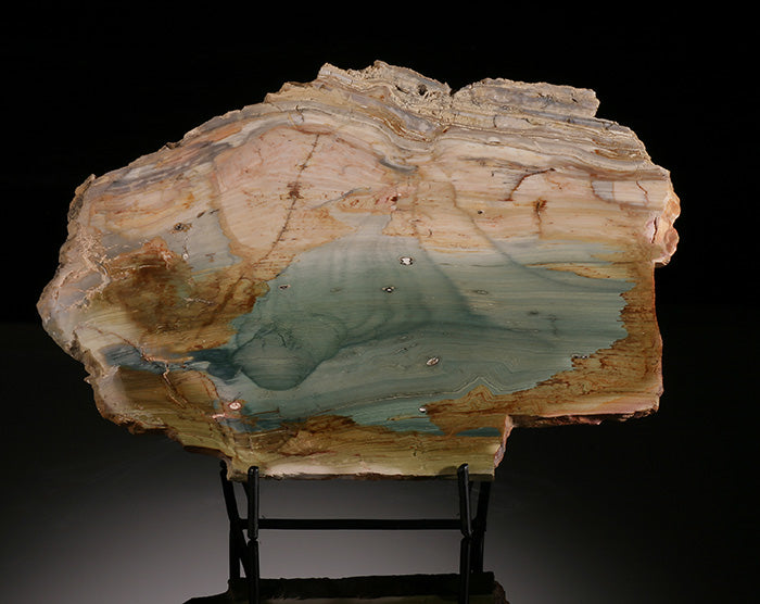 "Gary Green" Petrified Swamp Bog