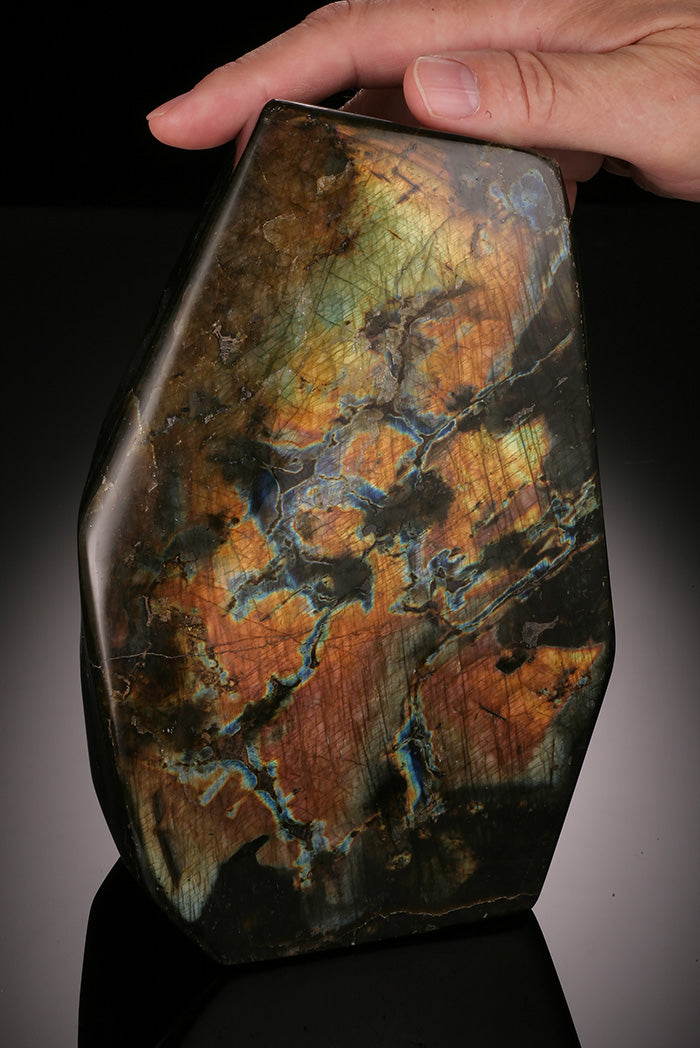 8" Freeform Labradorite