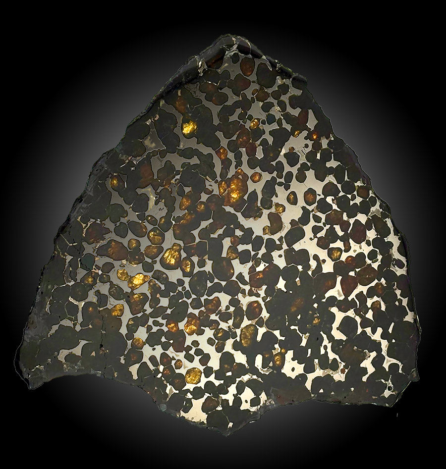 6-1/2" Sericho Meteorite Slice