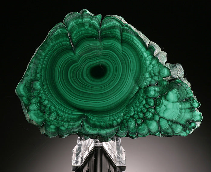 4" Malachite Stalactite Slice (with stand)