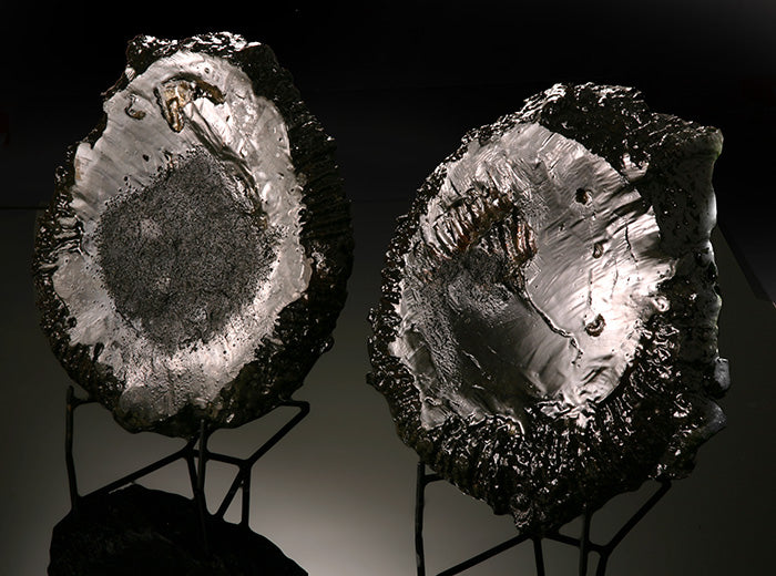 Russian Pyritized Ammonite Pair (with stands)