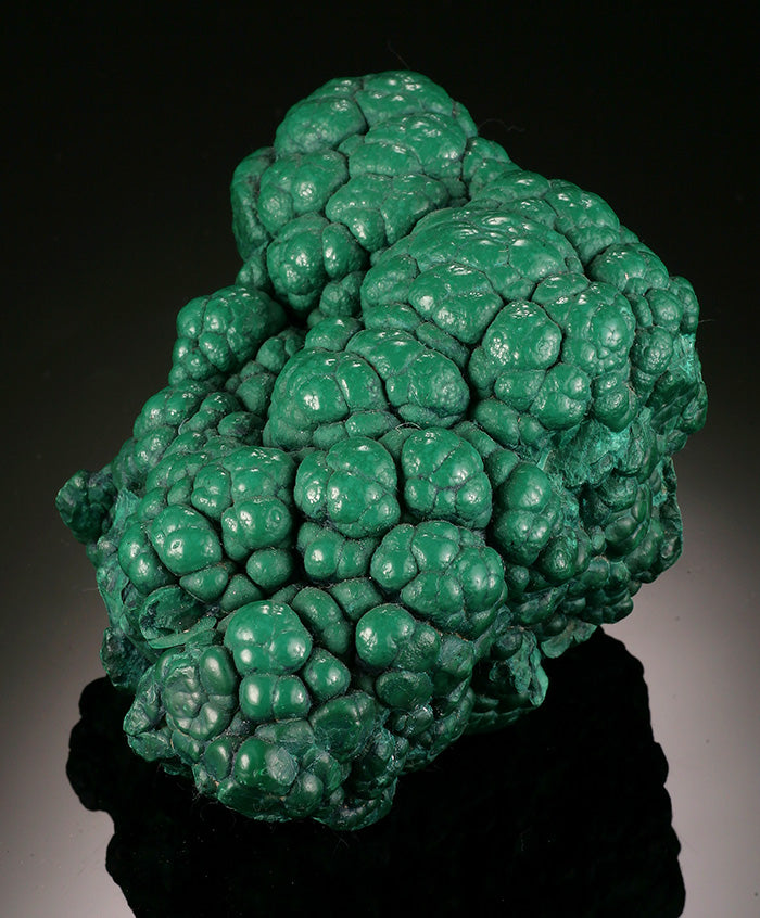 Malachite Brain, D.R.O.C