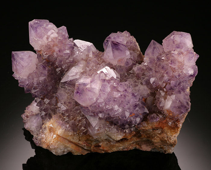 Cactus Amethyst Cluster (Spirit Quartz)