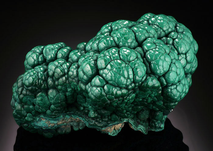 4-3/4" Malachite Brain