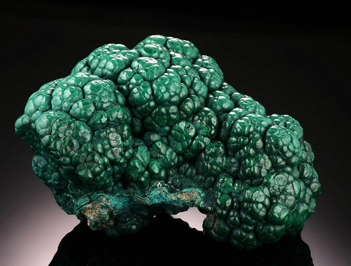 4-3/4" Malachite Brain