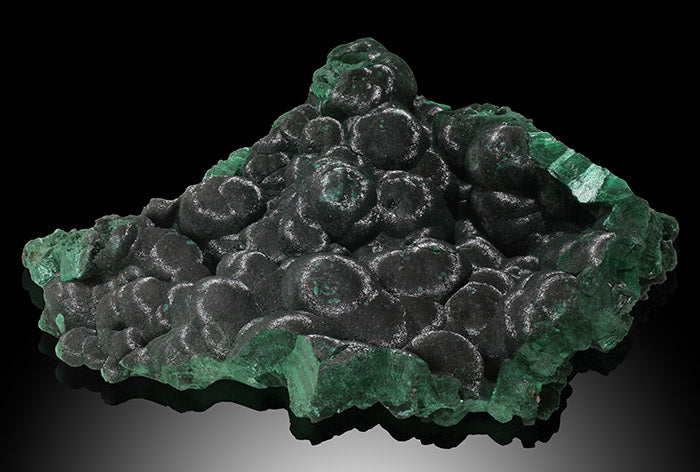 Velvet Malachite