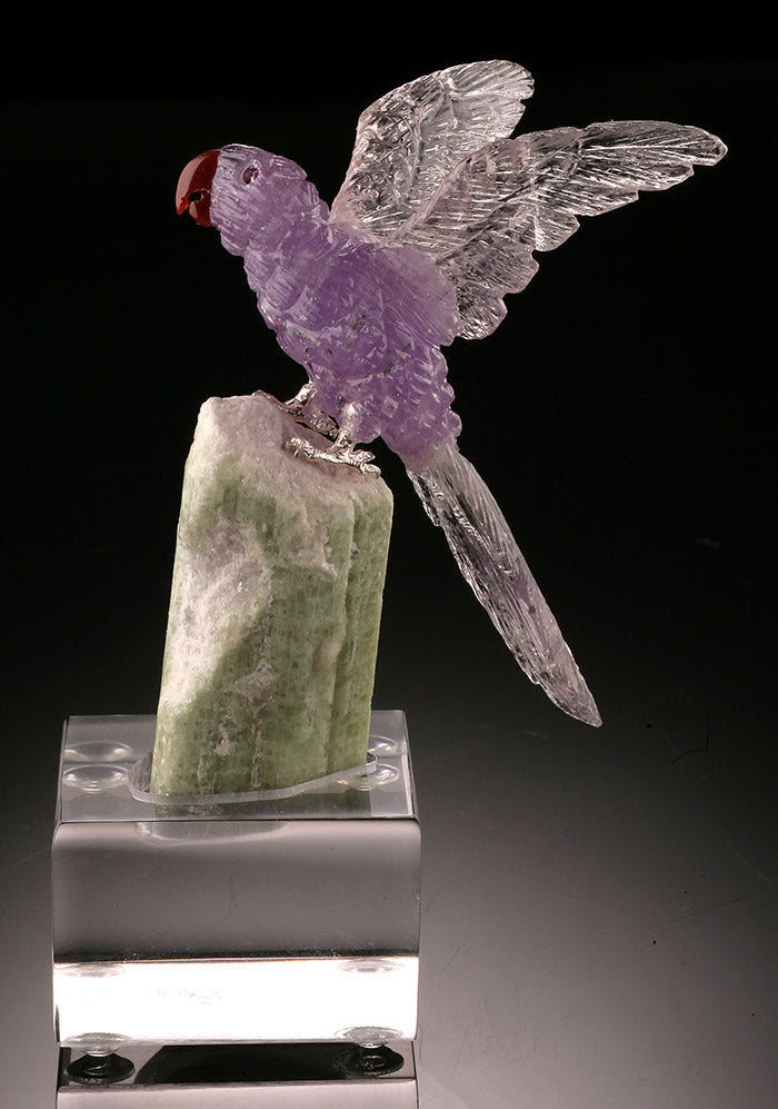 Amethyst Parrot on Tourmaline Base
