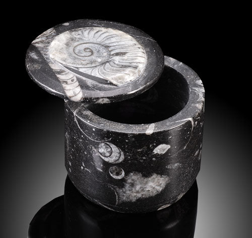 Round Ammonite  "keep sake" boxes