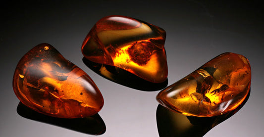 Polished Baltic Amber / $12.50 Each!