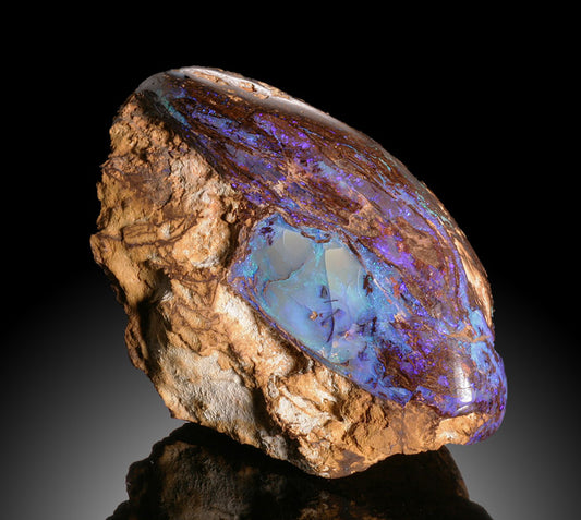 Opalized Wood, Australia (From our Private Collection)