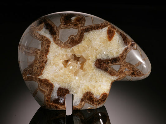 Septarian Bear Carving