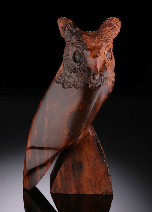 Ironwood Owl