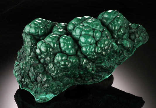 Malachite Brain, D.R.O.C