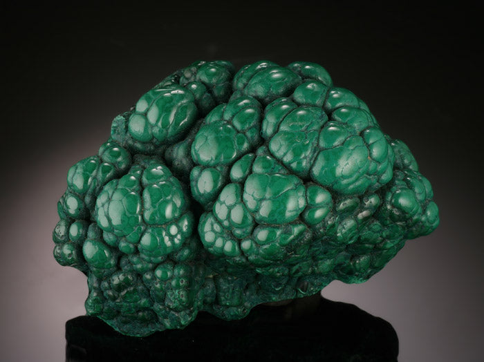 Malachite Brain