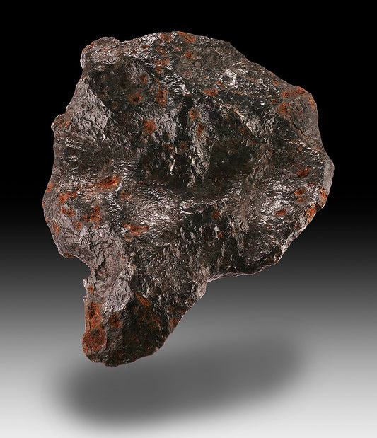 6" Campo del Cielo Meteorite