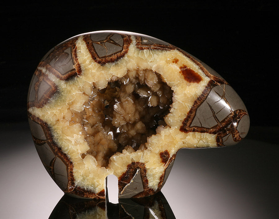 5-1/2" Septarian Bear Carving