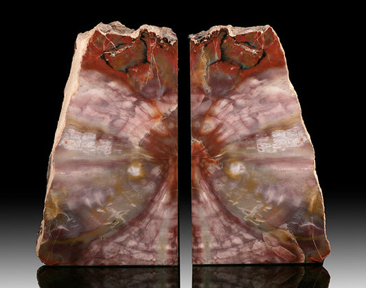 Acacia Pine Petrified Wood Bookends- Arizona, USA
